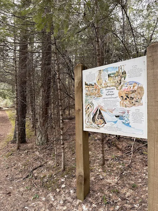 Pioneer Park Campground 5