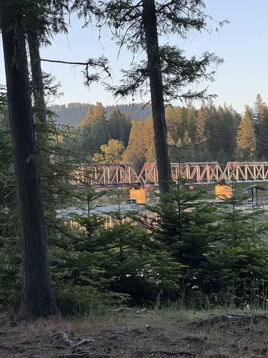 Albeni Cove Campground 8