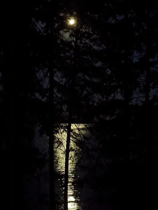Reeder Bay Campground 0