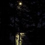 Reeder Bay Campground