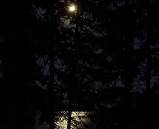 Reeder Bay Campground