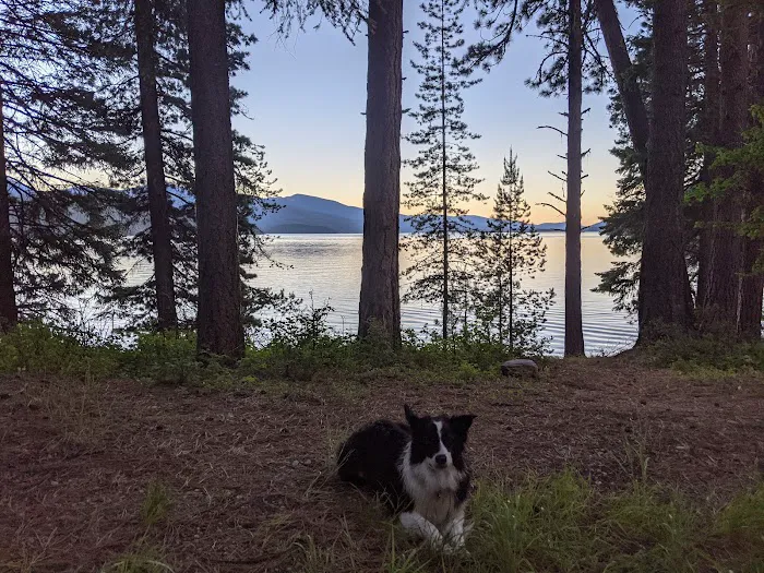 Reeder Bay Campground 8