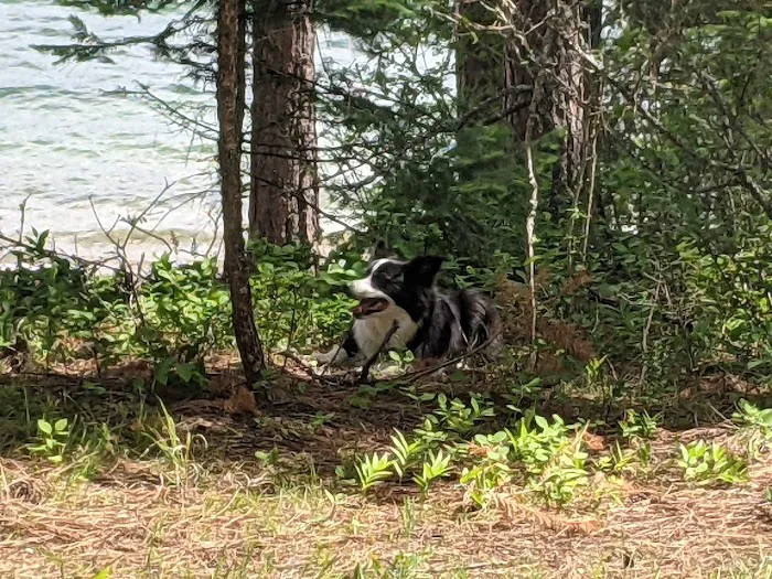 Reeder Bay Campground 5
