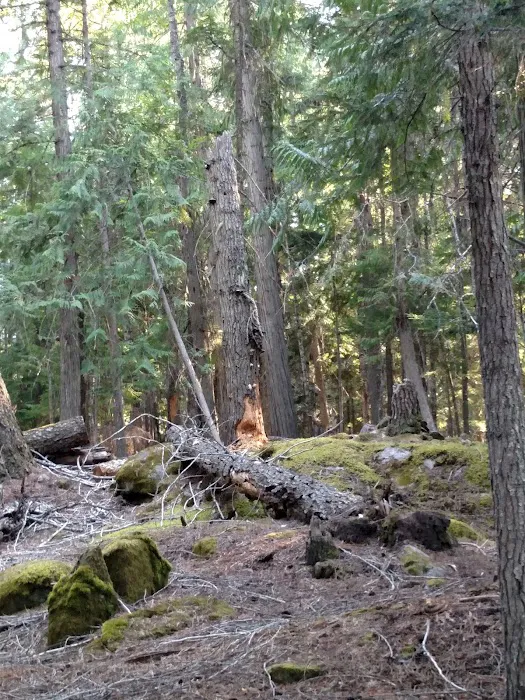 North Cove Campground 2