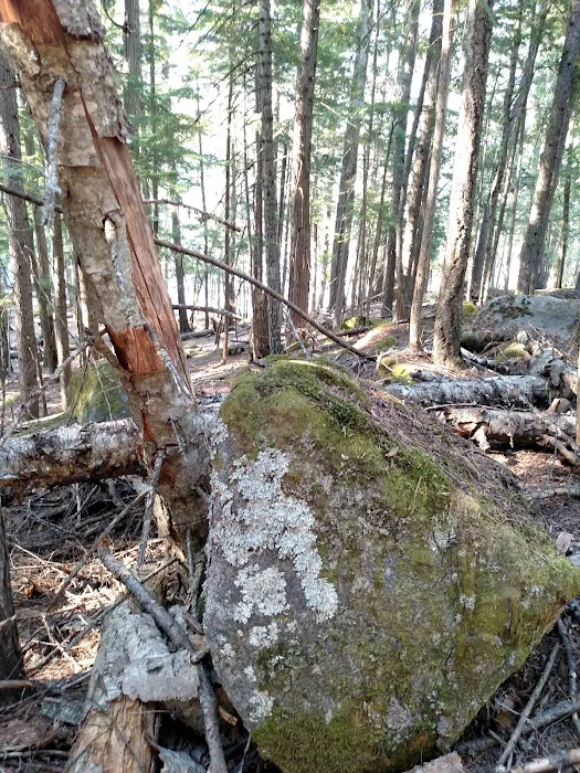 North Cove Campground 0