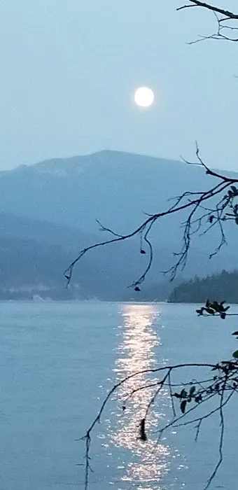 Rocky Point Campground 6