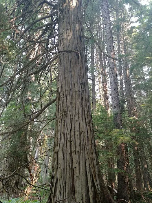 Beaver Creek Campground 9