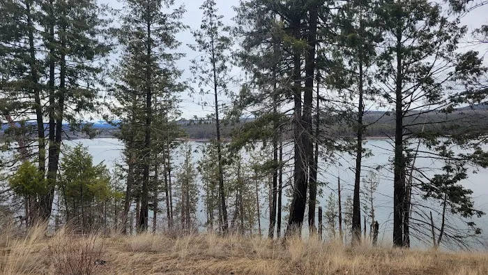 South shore boat in camp site 4