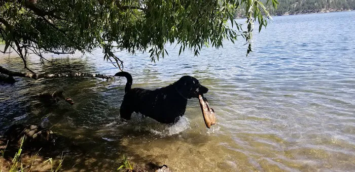 Lake Spokane Campground 8