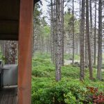 Cabins, Cape Lookout