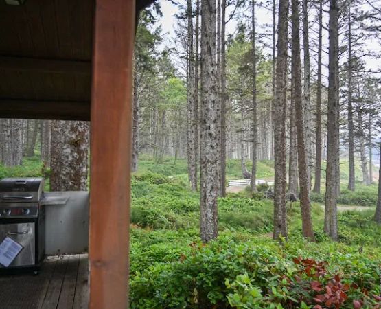 Cabins, Cape Lookout