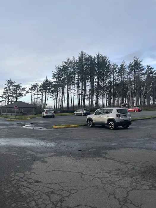 Cabins, Cape Lookout 9