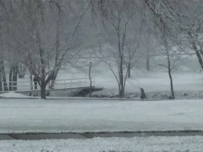 Sunnyside Park Campground 2