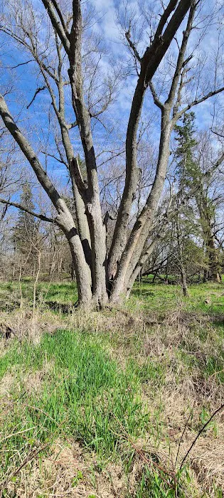 Green Valley State Park Campground 2