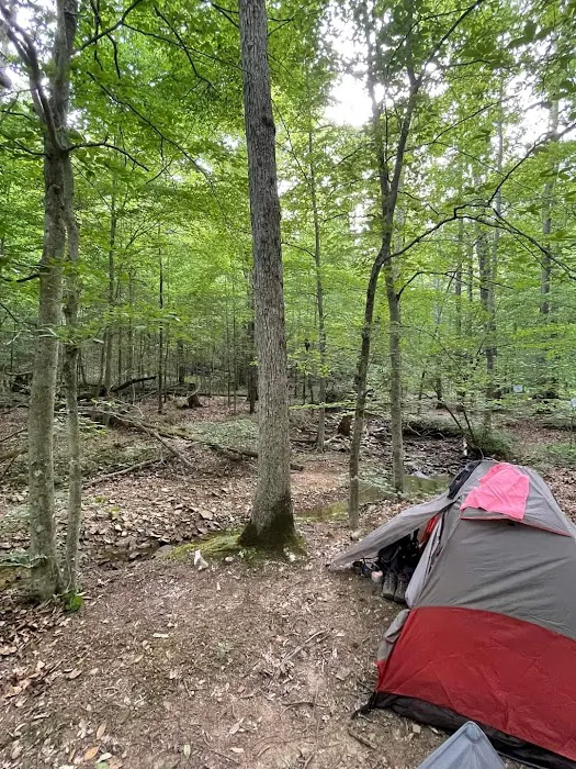 Shawnee Forest Backpacking Trail Camp 4 0