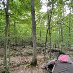 Shawnee Forest Backpacking Trail Camp 4