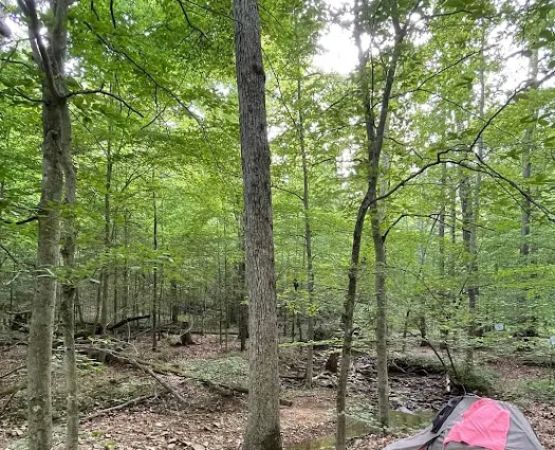 Shawnee Forest Backpacking Trail Camp 4