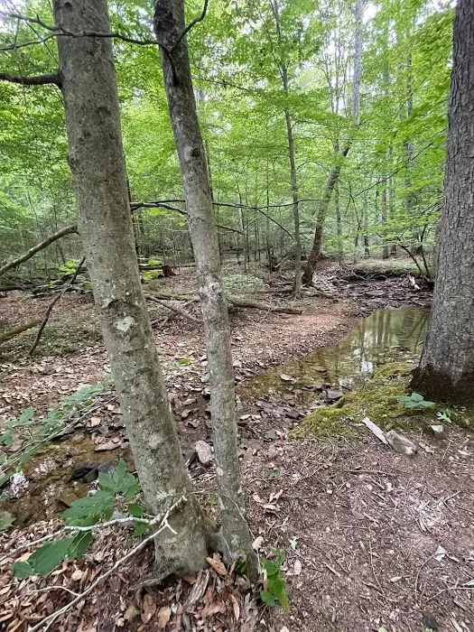 Shawnee Forest Backpacking Trail Camp 4 1