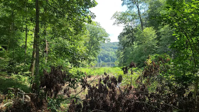 Shawnee State Park Campground 4
