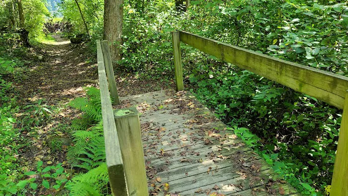 Shawnee State Park Campground 2