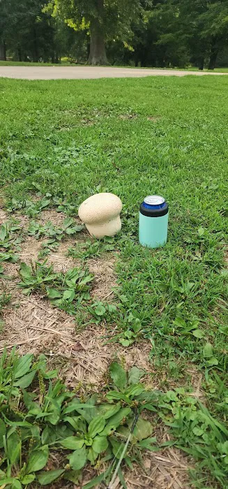 Shawnee State Park Campground 9