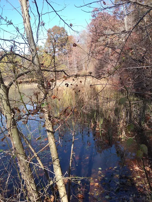 Shawnee Backpacking Camp 2 5