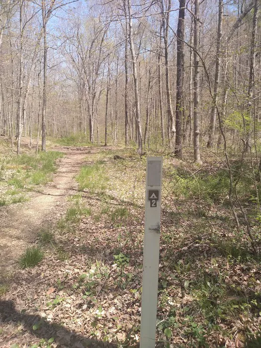 Shawnee Backpacking Camp 2 1
