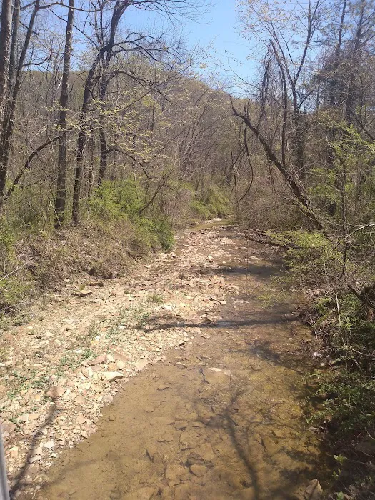 Shawnee Backpacking Camp 2 0