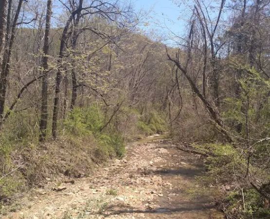 Shawnee Backpacking Camp 2