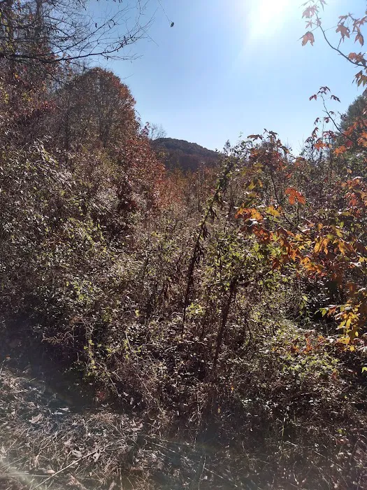 Shawnee Backpacking Camp 2 8