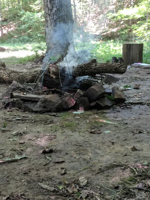 Shawnee Backpacking Camp 1 2