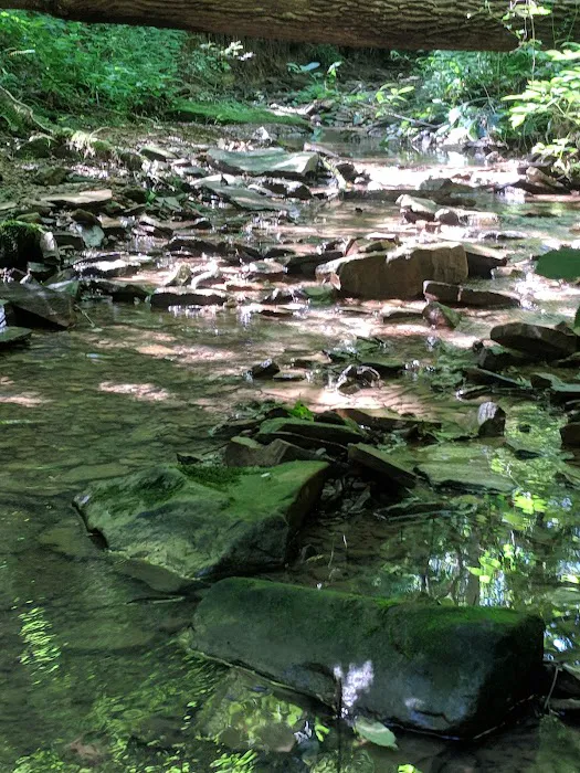 Shawnee Backpacking Camp 1 0