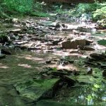 Shawnee Backpacking Camp 1