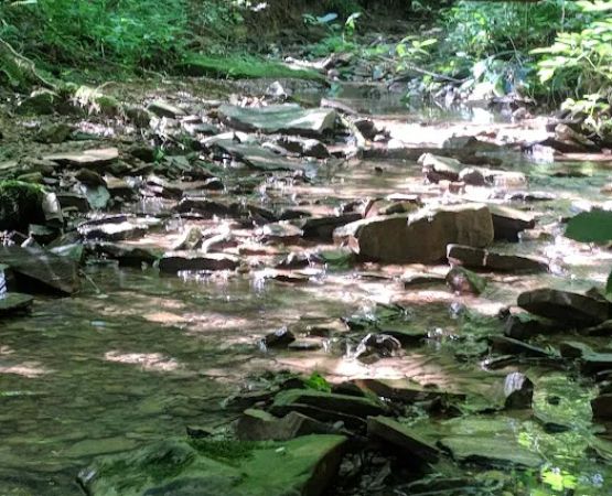 Shawnee Backpacking Camp 1