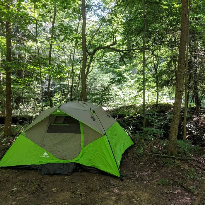 Shawnee Backpacking Camp 1 8