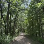 Little Island Group Camp