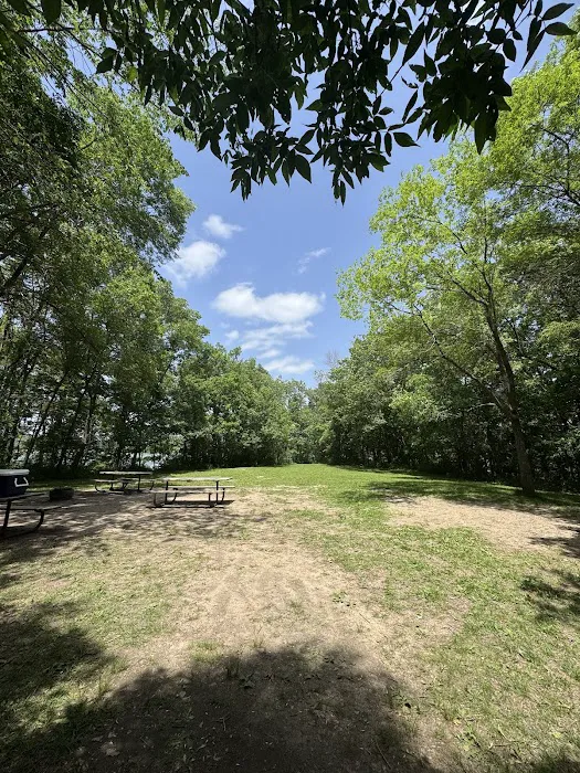 Little Island Group Camp 2