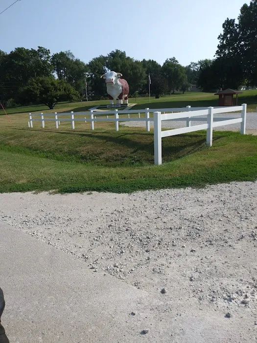 Albert the Bull Campground 8