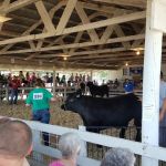 Humboldt County Fair Campground