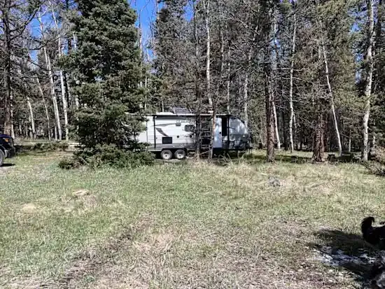 Balsam Bliss 11