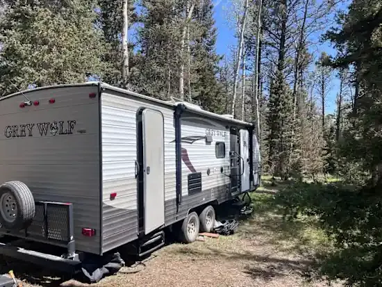 Balsam Bliss 9
