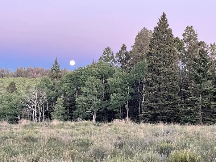 Balsam Bliss 10