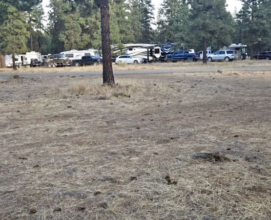 BBQ flats Horse camp