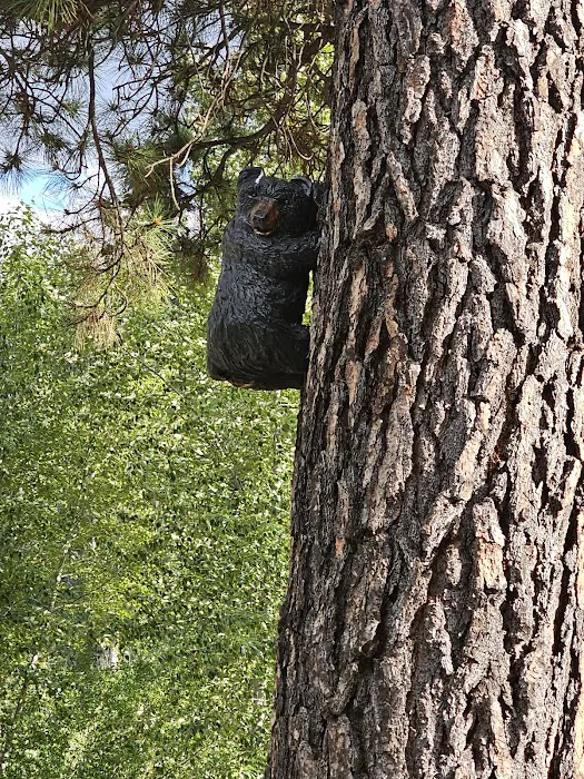 Big Pines Recreation Site 7
