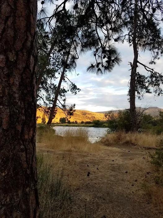 Big Pines Recreation Site 9