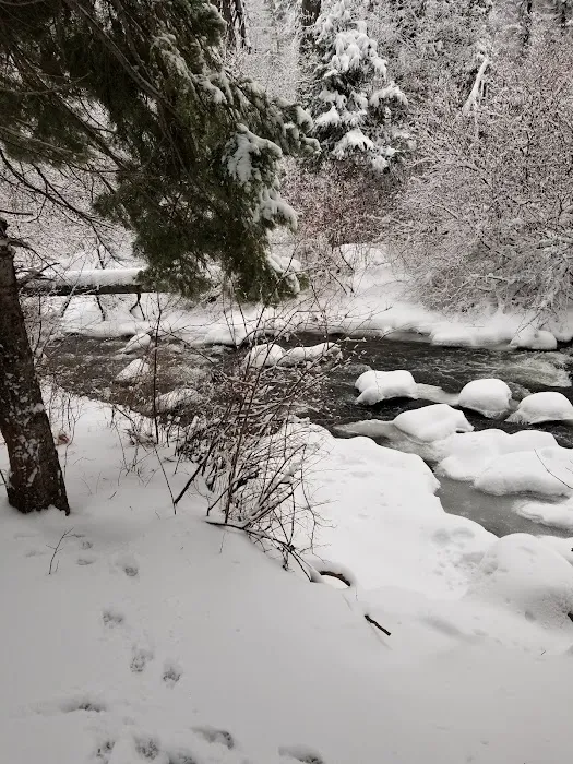 Ahtanum Meadow Campground 5