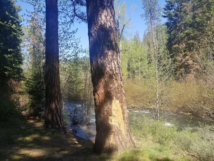 Ahtanum Meadow Campground 8