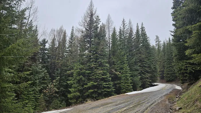 Ahtanum Meadow Campground 3