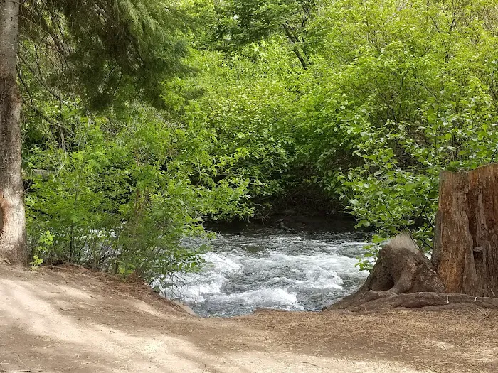 Ahtanum Meadow Campground 2
