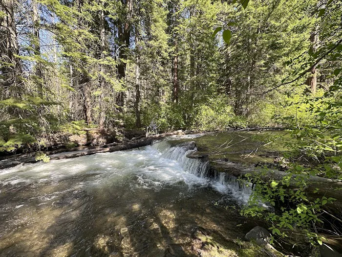 Ahtanum Meadow Campground 7